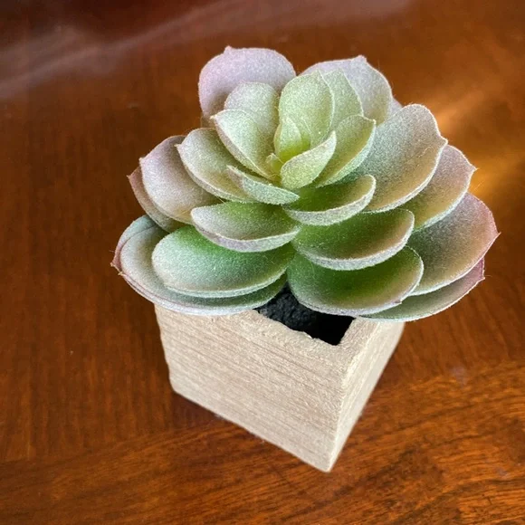 Faux Succulents set of two. EUC - Picture 3 of 8